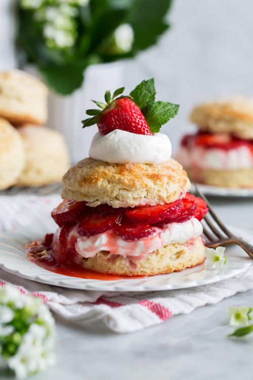 strawberry shortcake kiểu mỹ strawberry shortcake kiểu mỹ